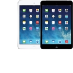 iPad mini 2